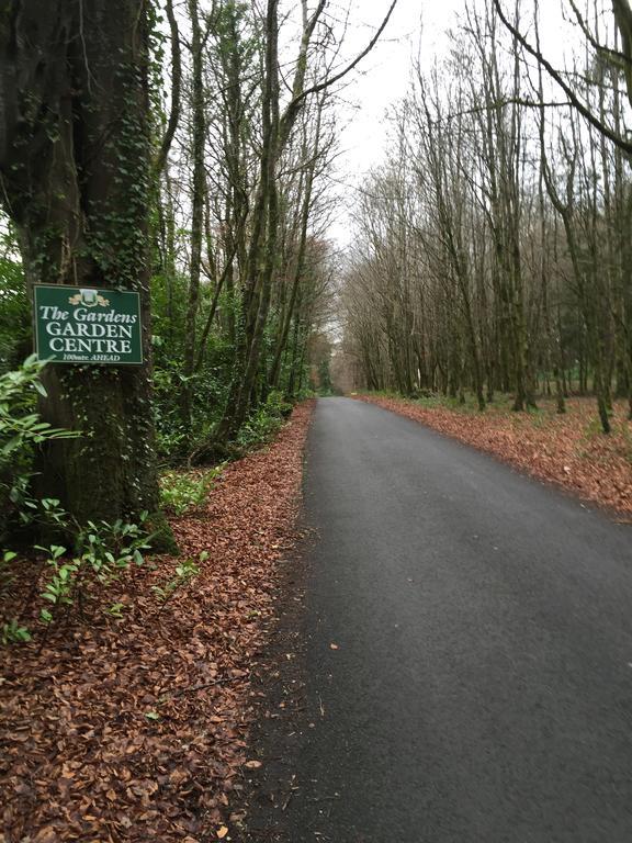 Leitrim Inn Carrick on Shannon Kültér fotó